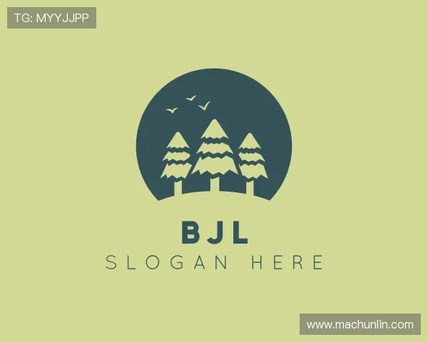 认识BJL